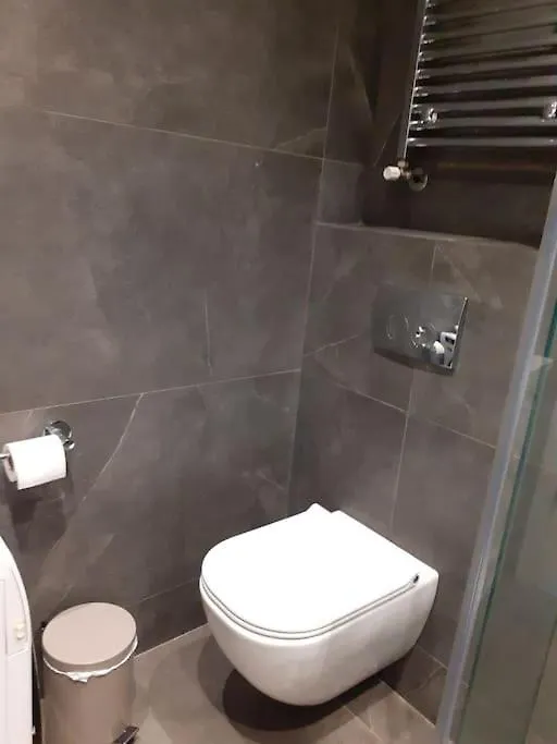 Artemis Luxury Suite In Iktinou Pedestrian & Mitropolitou Iossif Area Thessaloniki Apartment